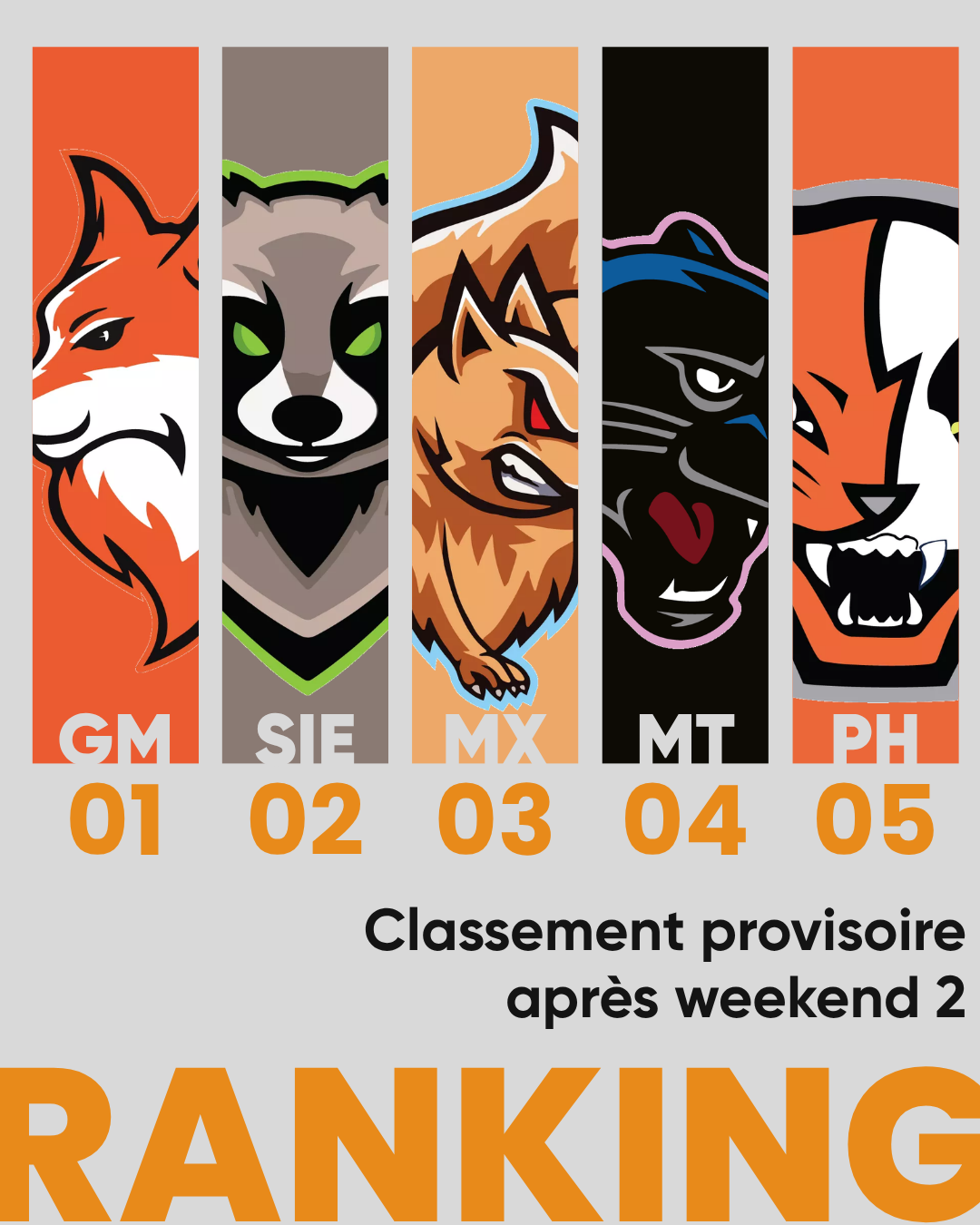 no description of image found.