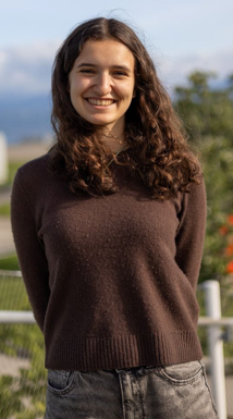 no description of image found.