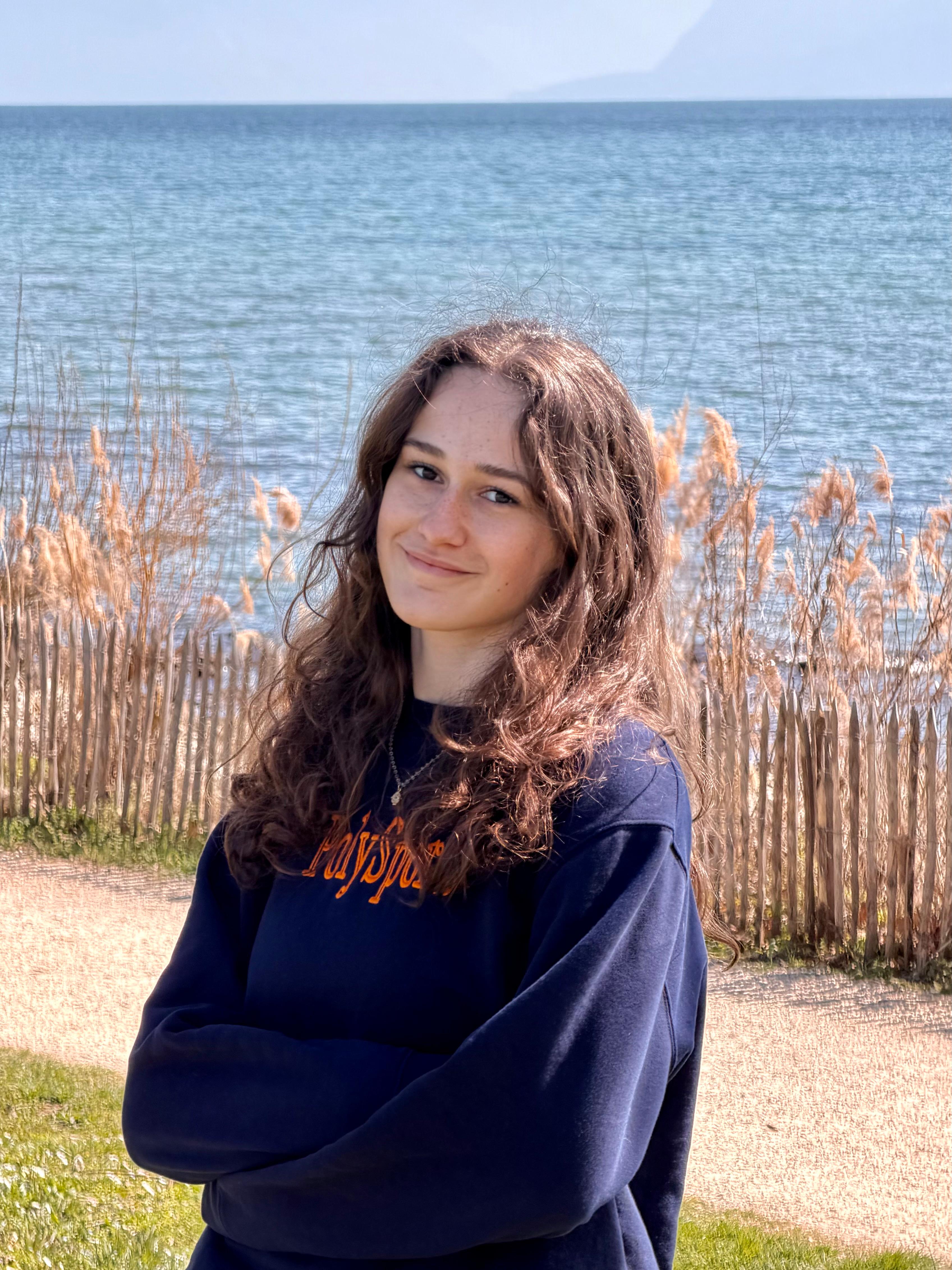 no description of image found.