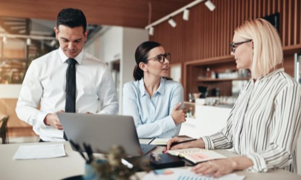 Imagine pentru articolul numit Managerul ca antrenor