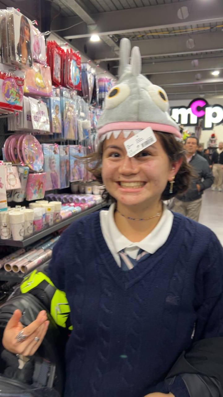 no description of image found.