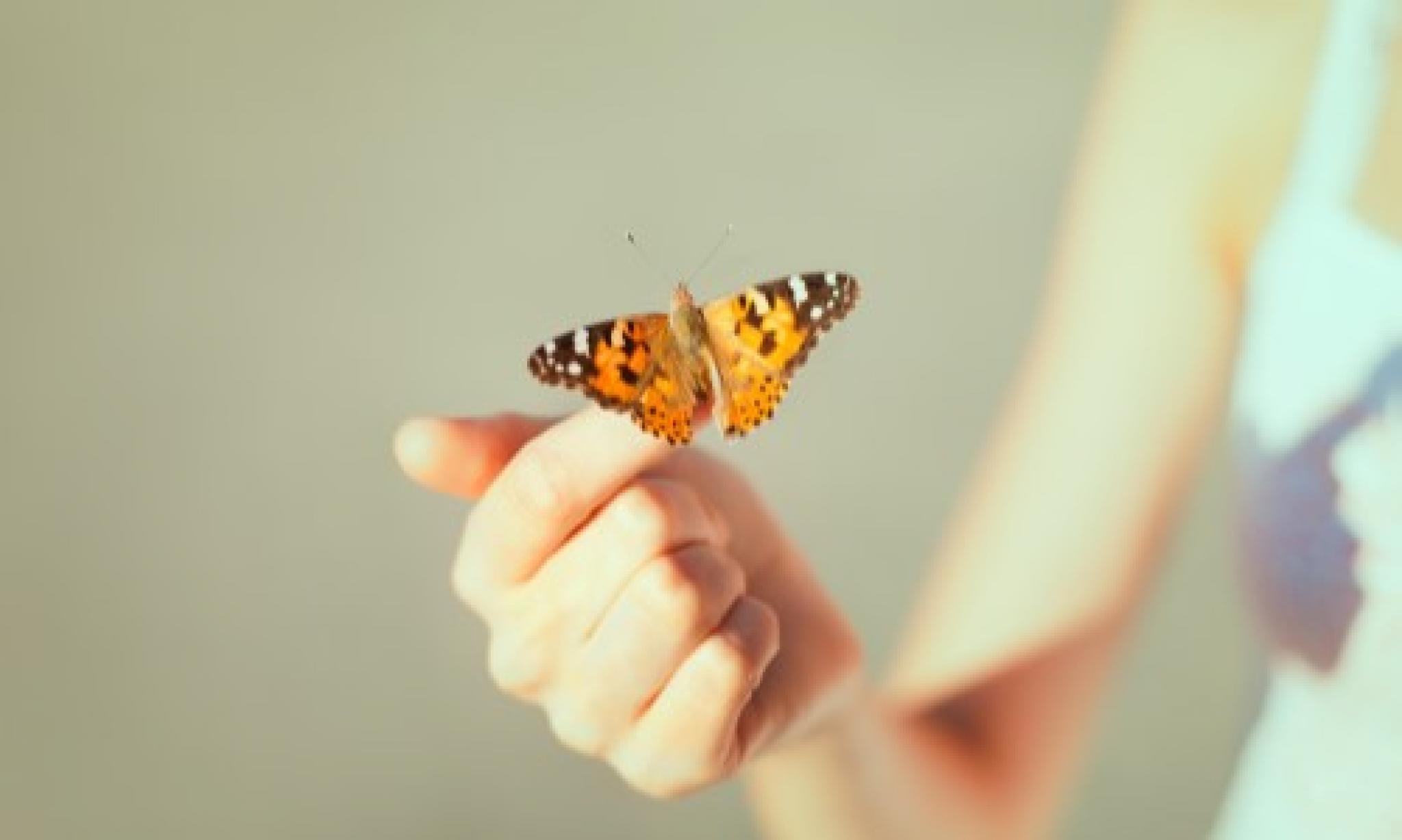 imagine a articolului Discriminare și intimitate la locul de muncă