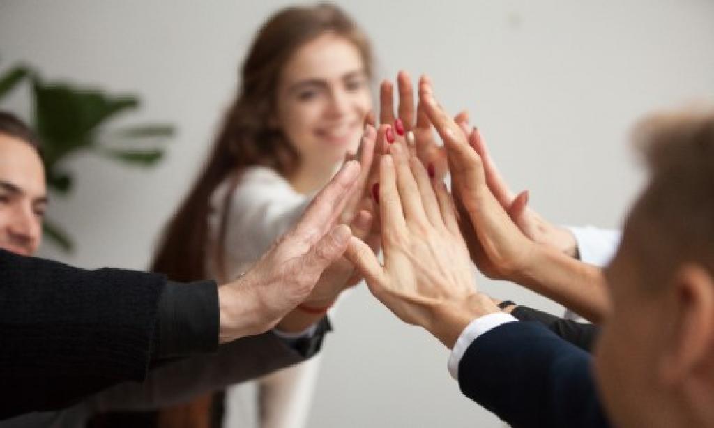 Imagine pentru articolul numit Dezvoltarea echipei prin coaching și mentorat