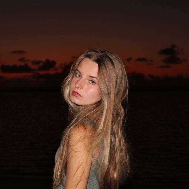 no description of image found.