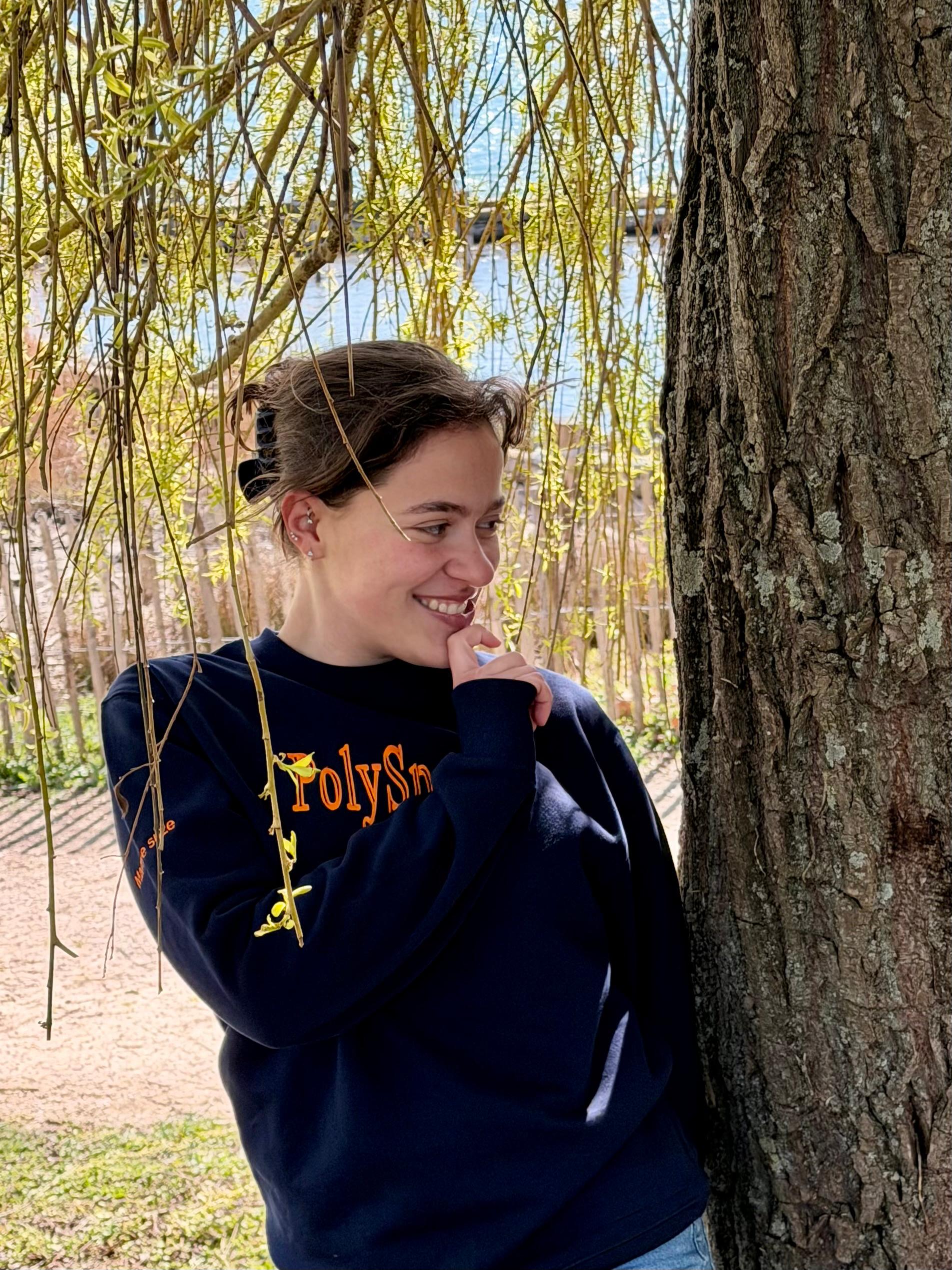 no description of image found.