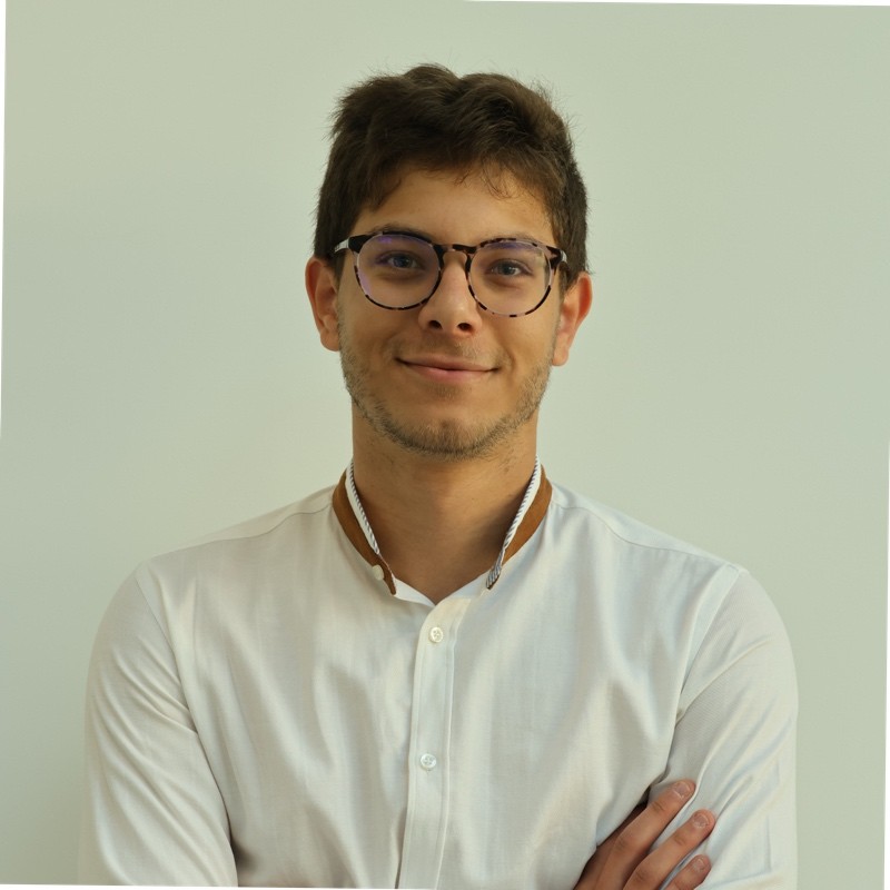 no description of image found.